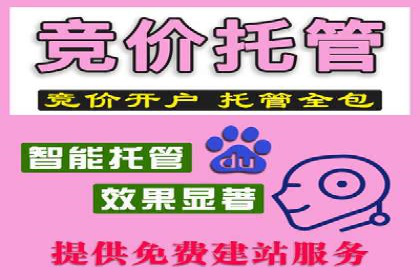 SEM代运营公司案例：精准营销策略